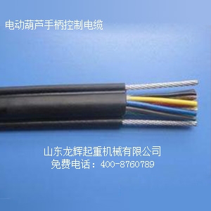 늄ӺJ|  Longhui Company electric hoist control cable