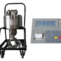 OCS-W5160ӵ^ OCS-W5160 electronic hook scale