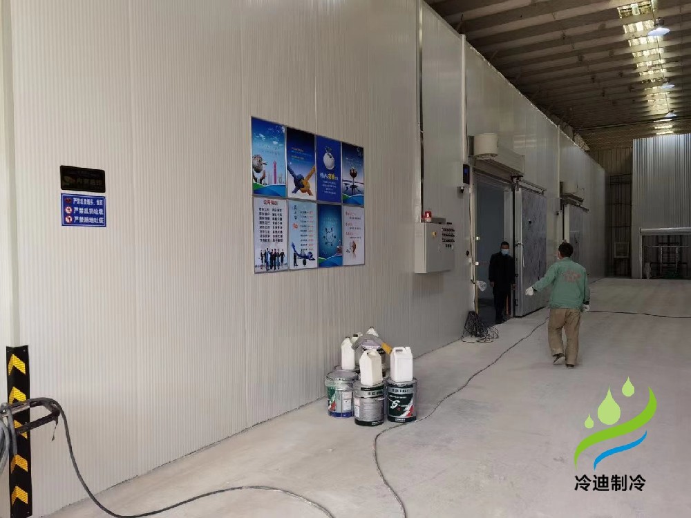 上海浦東11000m3大型低溫物流冷鏈冷庫安裝建造工程