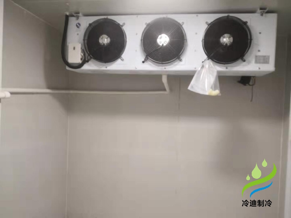 上海望湘園餐飲食品冷庫維修保養(yǎng)案例