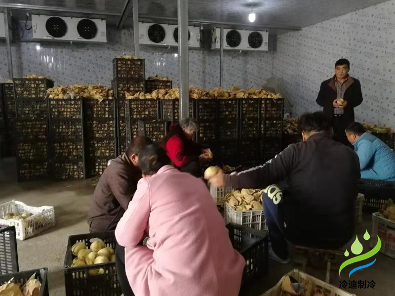 桃子保鮮冷庫(kù)