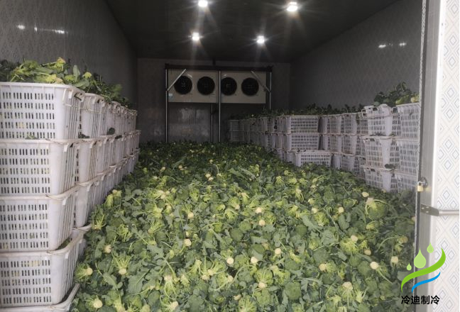 果蔬保鮮冷庫(kù)造價(jià)