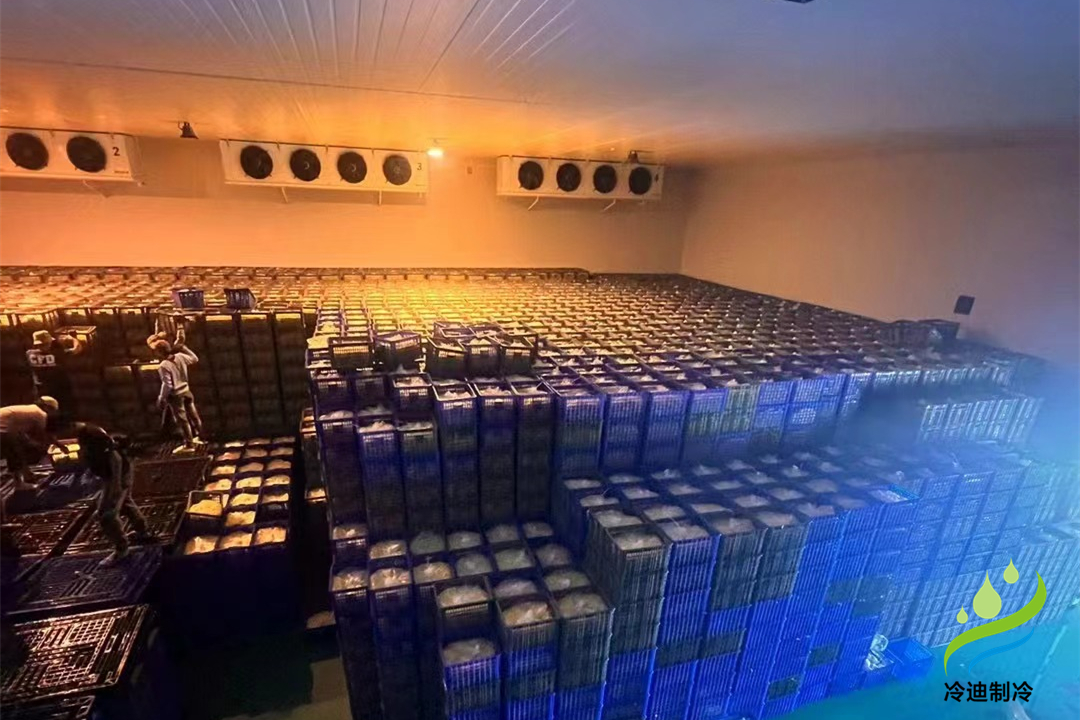 2000平方大型冷庫(kù)造價(jià)