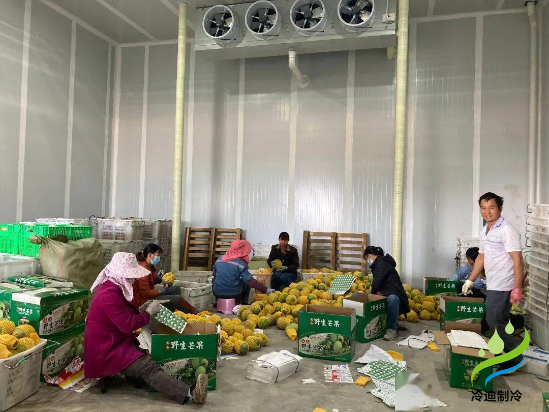 廣西芒果氣調(diào)冷庫(kù)