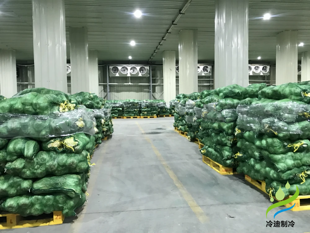 建造500噸蔬菜冷庫(kù)需要多大面積，造價(jià)多少錢？   