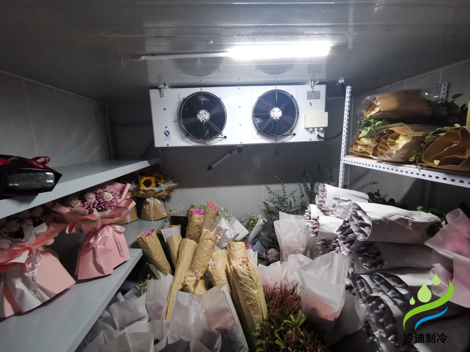 鮮花冷庫
