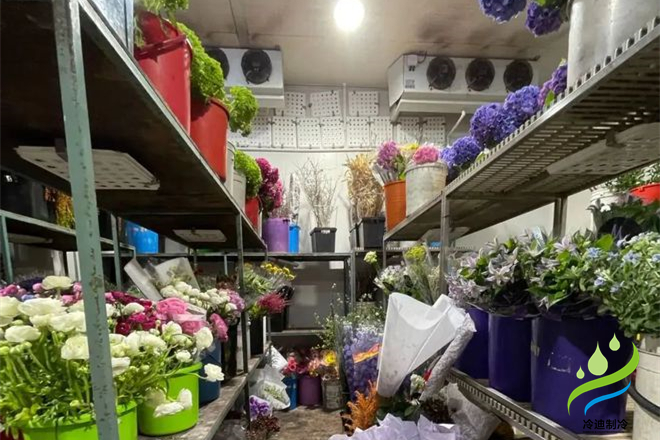 鮮花冷庫