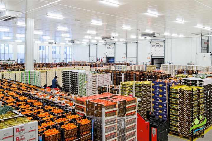 建造一個(gè)獸藥冷庫造價(jià)大概多少錢？