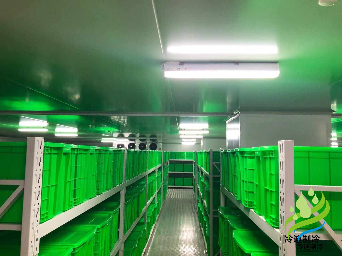 兆維生物醫(yī)藥冷庫