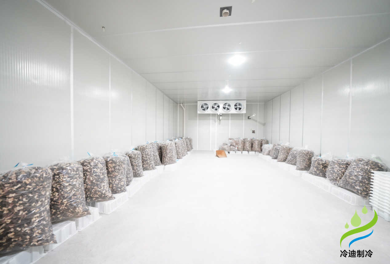 菌菇氣調(diào)保鮮冷庫羊肚菌