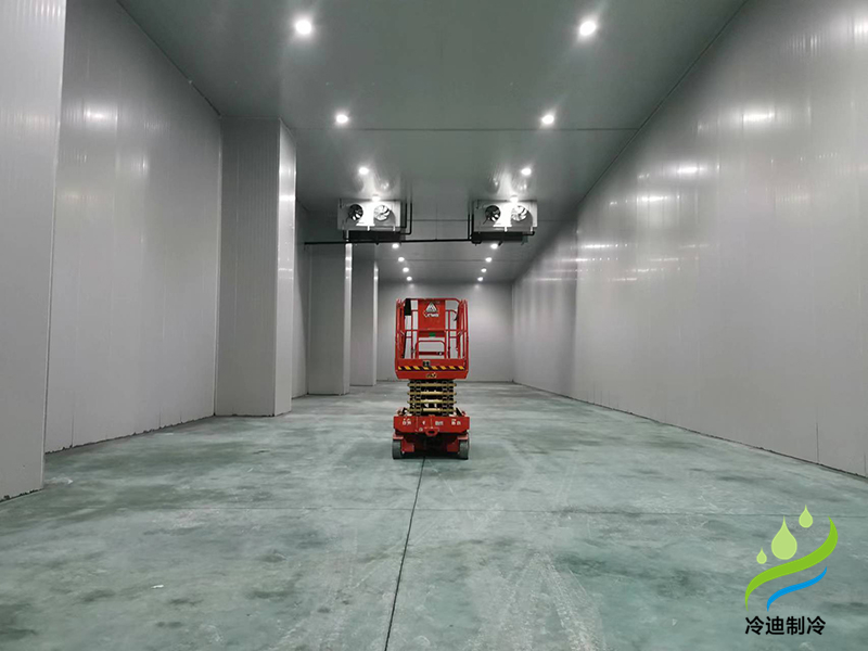 大型冷鏈物流低溫冷庫10.jpg