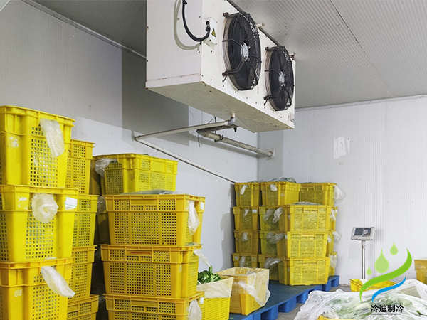 蔬菜保鮮冷庫