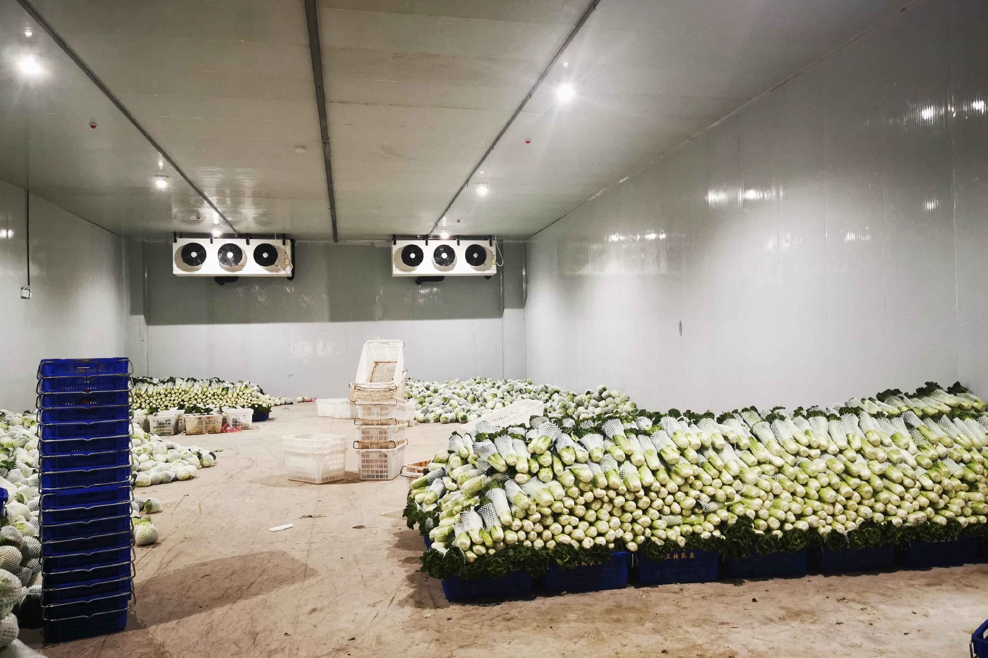 蔬菜果蔬青菜保鮮冷庫水產(chǎn)冷庫